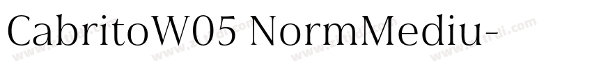 CabritoW05 NormMediu字体转换